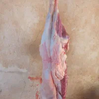 سلام دوستان یک شقه گوشت بره نره موجوده کیلو ۱۲۵۰