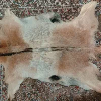 پوست طبیعی