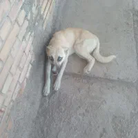 به علت نداشتن جا