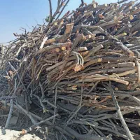چوب باغی و صنعتی
