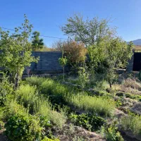 باغچه فروشی مناسب برای سرمایه گذاری
