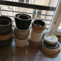 گلدان|گل و گیاه طبیعی|تهران, حکمت|دیوار