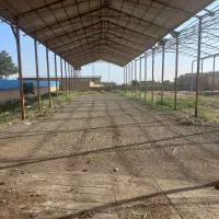 اجاره سوله صنعتی