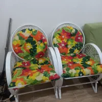 مبلمان باغی