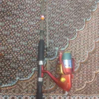 لنسر انتظاری کروکدیل
