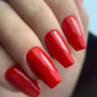 فرصت استثنایی کلیه خدمات فقط250 تا پایان ماه