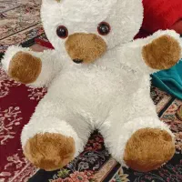 خرس بزرگ و کوچک (شاسخی)