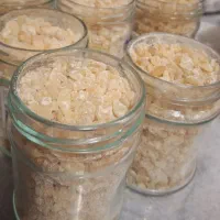 سقز کوهی(بریزه)