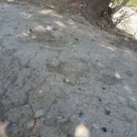 اجاره زمین کشاورزی