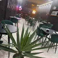 به دور از هیاهوی شهر کافه 01