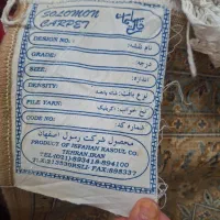 فرش ۹متری.|فرش|بندر انزلی, امامزاده|دیوار