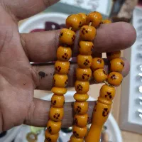 سندلوس یادگار مشهد