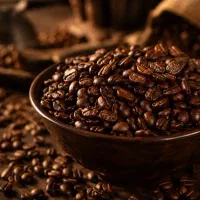 فروش عمده انواع دان قهوه/ ارسال به سراسر کشور