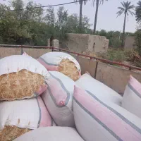 کاه|لوازم جانبی حیوانات|جیرفت, |دیوار