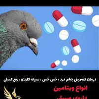 دارو پیشگیری و درمان کبوتر تضمینی