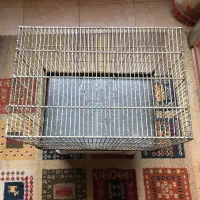 قفس عطیقه قدیم سره  قناری