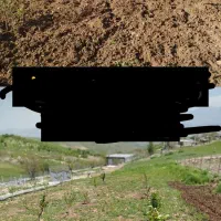 انواع خدمات باغبانی جوانرود و اطراف