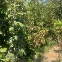 منزل-ویلایی-روستای-محمدآباد