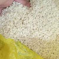 برنج عنبر بو