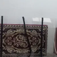 محافظ تلویزیون۵۵اینچ