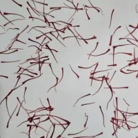 زعفران نگین (سنتی خشک) قائنات