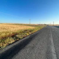 زمین طلاب فروش