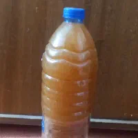 ابغوره
