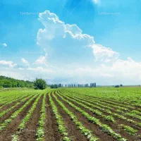زمین کشاورزی در رحمت آباد و در طرح فضای ورزشی