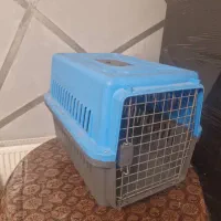 باکس سگ بزرگ