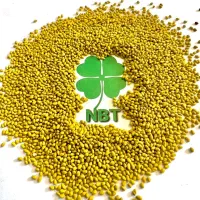 معروف ترین بذر خاورمیانه NBT