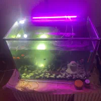 اکواریوم کامل همراه با‌ماهی۳۰*۷۰