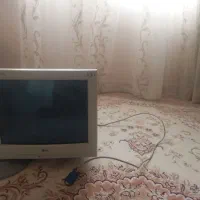 مانیتورالجی