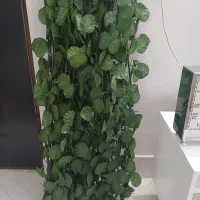 دیوار پوش