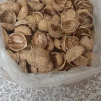 پوست خشک گردو