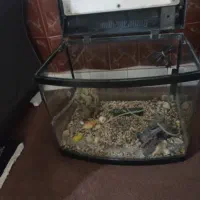 اکواریوم سالم شیشه خم