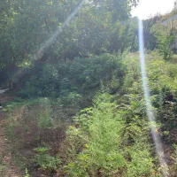 فروش زمین مسکونی