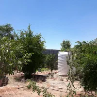 فروش باغ در خالد اباد