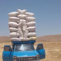 کاه فروشی