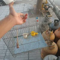 قفس پرندگان و حیوانات