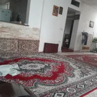 نظافت منازل مدارس شرکتها باغ ویلا توسط خانم
