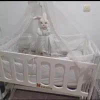 گهواره نوزاد