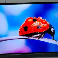 ال ای دی 58اینچ سام درحد نو فورکی اسمارت