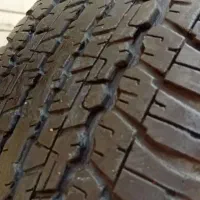 لاستیک دانلوپ