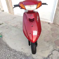 پاکشتی آلبالویی شرایطی