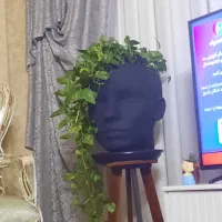 گلدان چهره بدون گل