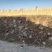 فروش کودگوسفندی