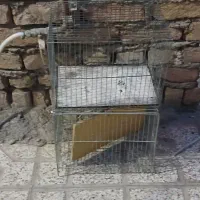 قفس پرنده