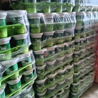 دوغ لیوانی برای مراسم