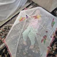 پشه بند