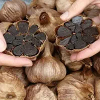 سیر سیاه|خوردنی و آشامیدنی|اصفهان, زاجان|دیوار